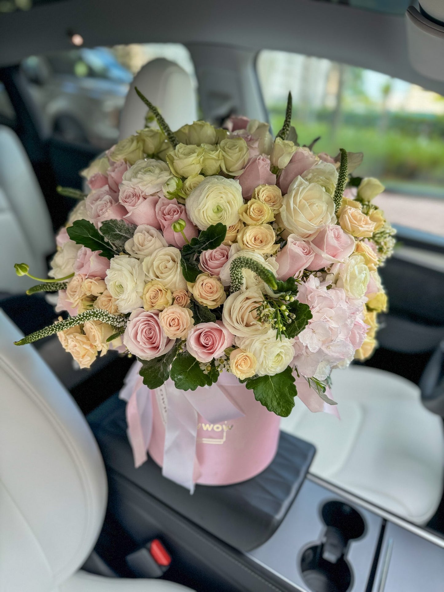 Pastel Blush image 1