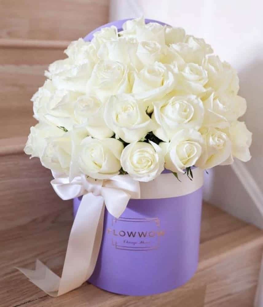 50 Premium White Roses image 0