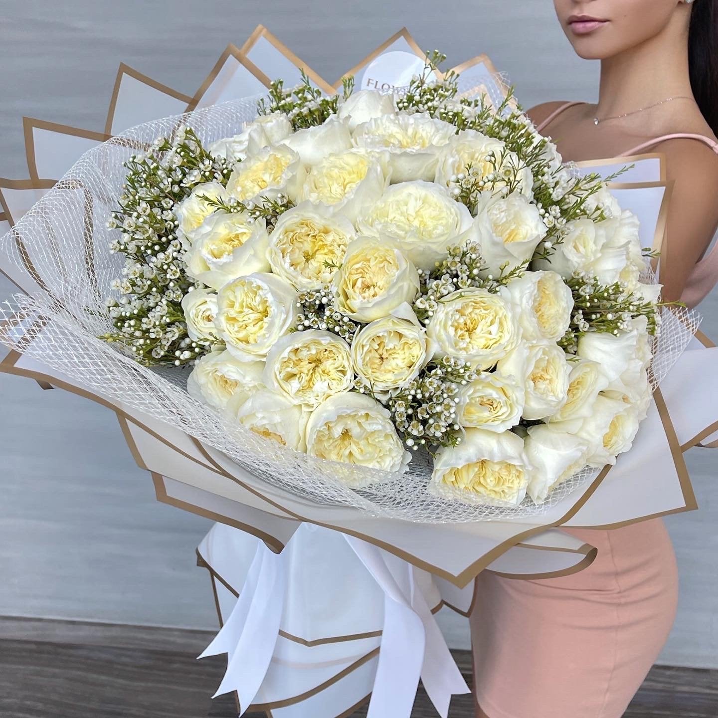 Garden Roses "White Patience"( Medium) image 1