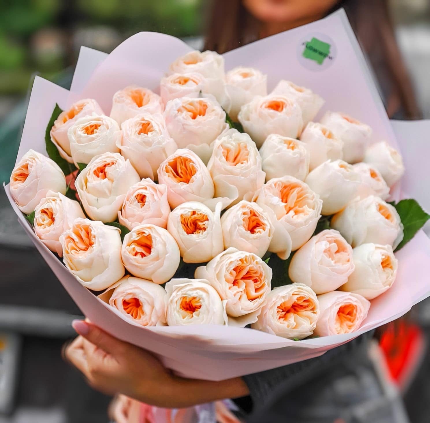 36 Juliet Roses image 0