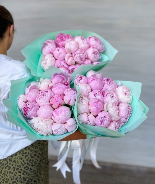 Pink Peonies Bundle image 0