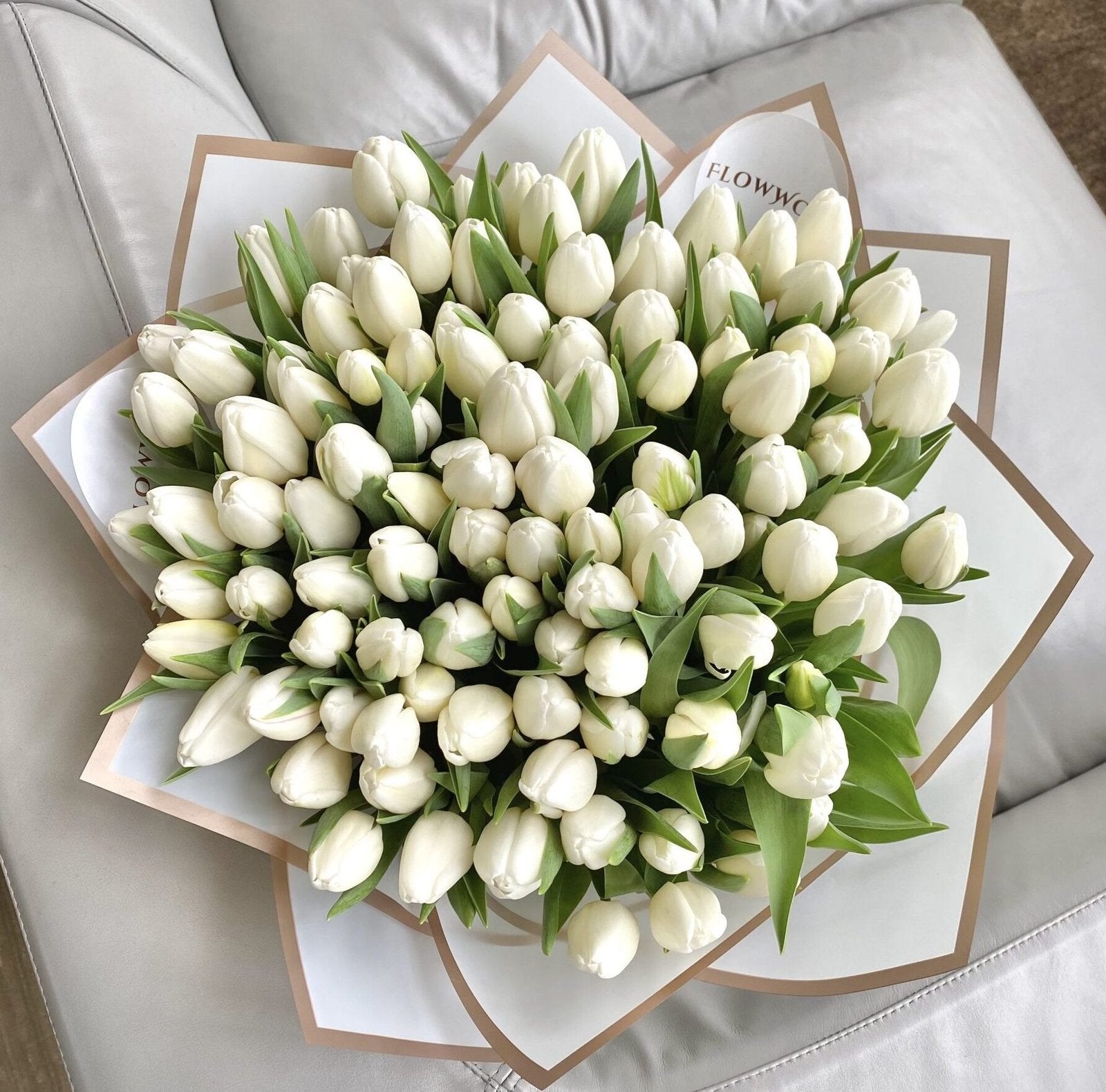 100 White Tulips image 0