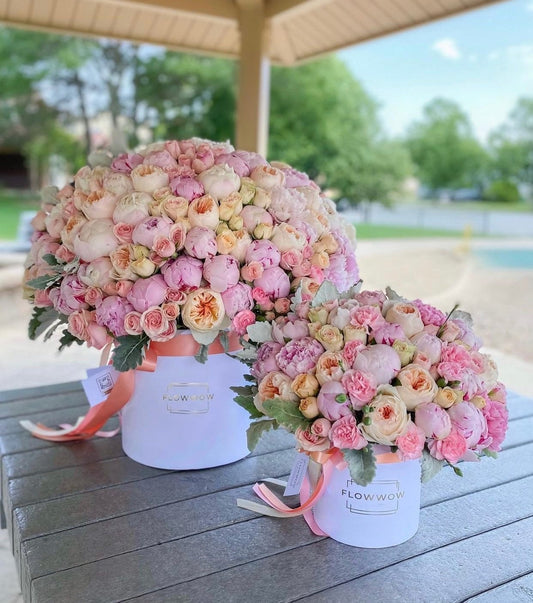 FLW Grandiose Combo image 0