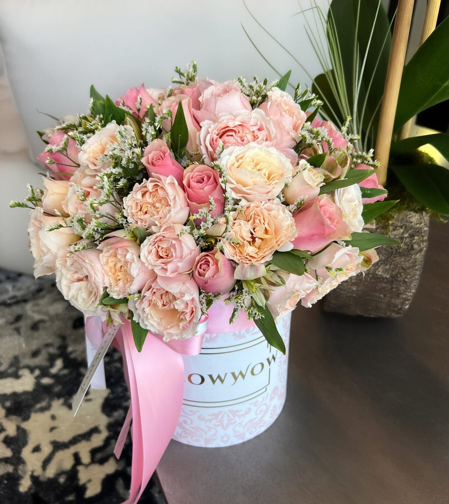 New Lady Dreams image 0