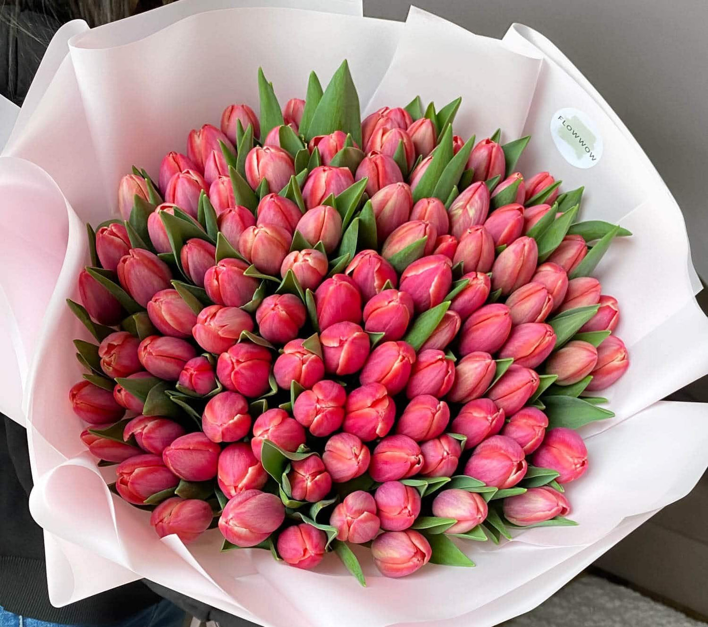 Pink Passion image 0