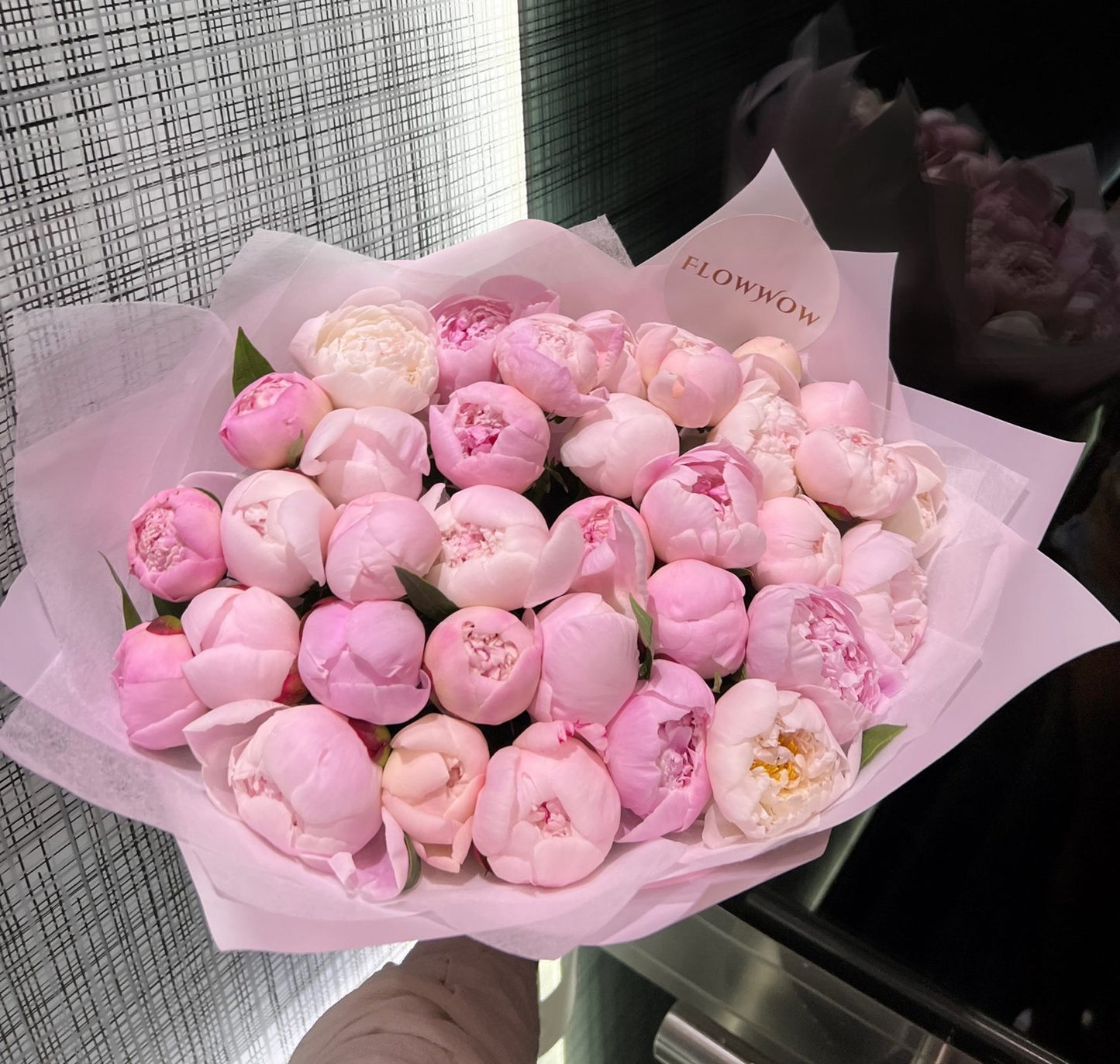 35 Peonies "Sarah Bernhard" image 0