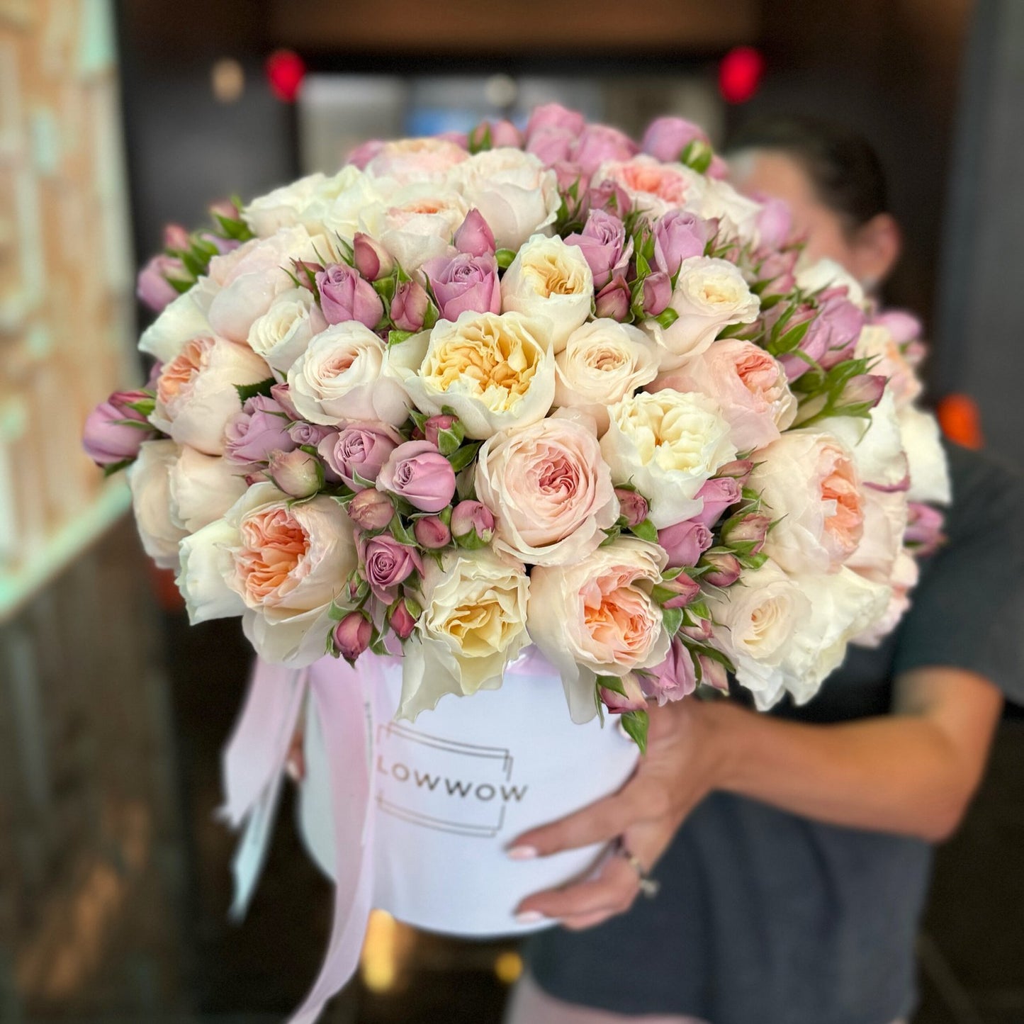 Saint-Tropez FLV Box image 0