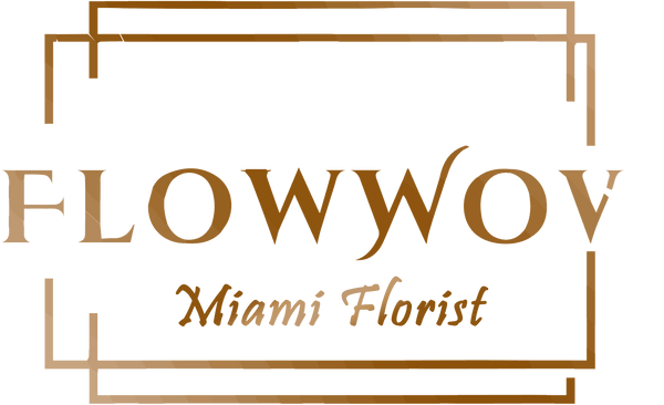 FlowWov Miami