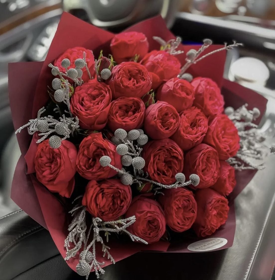 Garden Roses "Red Piano" image 0