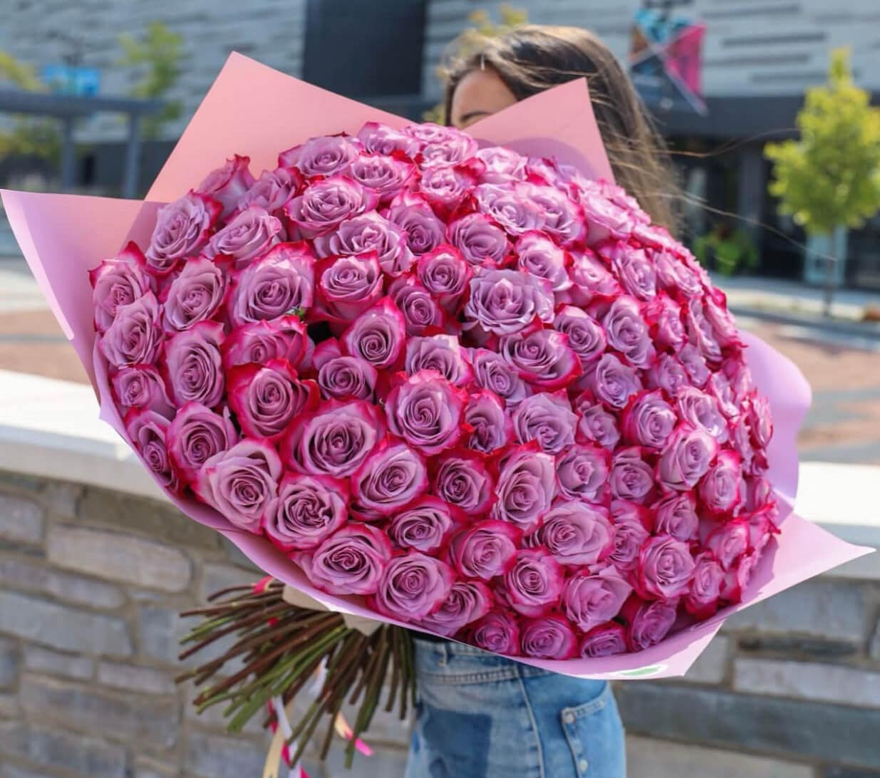 101 Sweetness Roses image 0