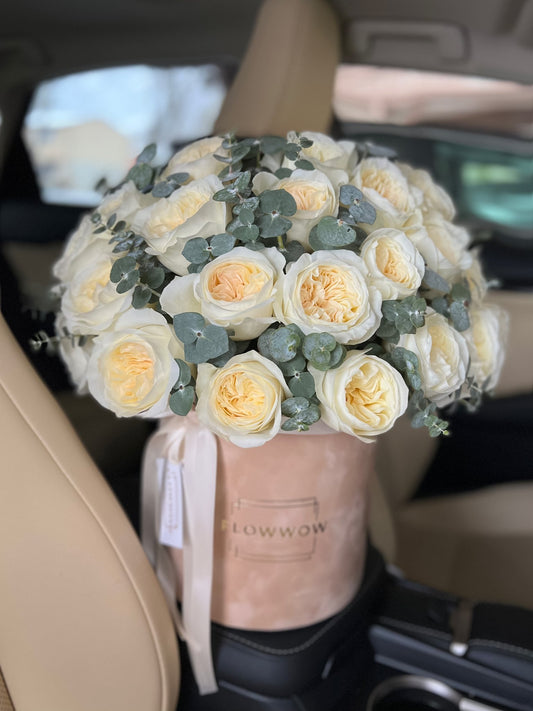 Leonora Velvet Box image 0