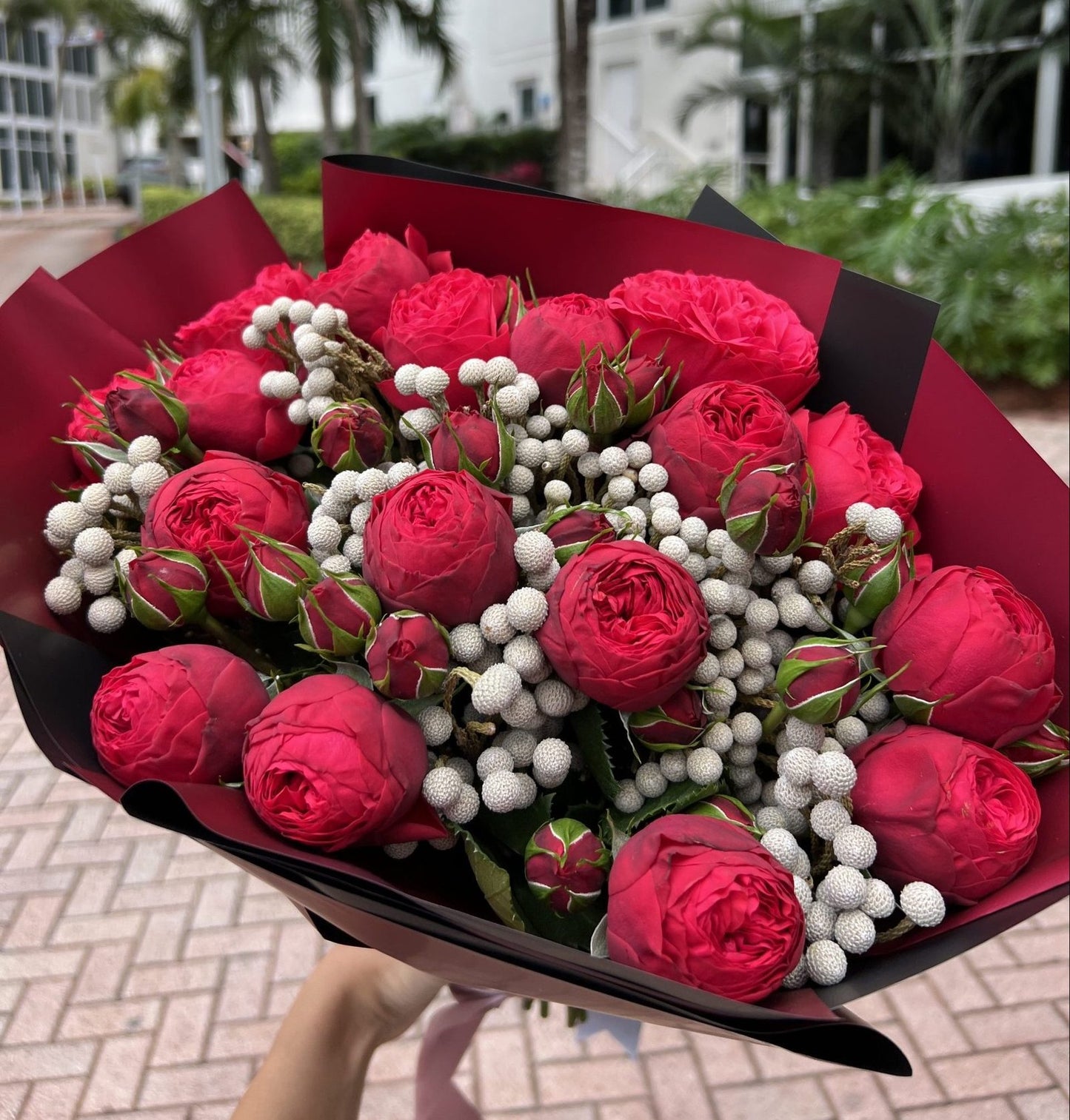 Bouquet of Garden Roses "Red Piano" image 0