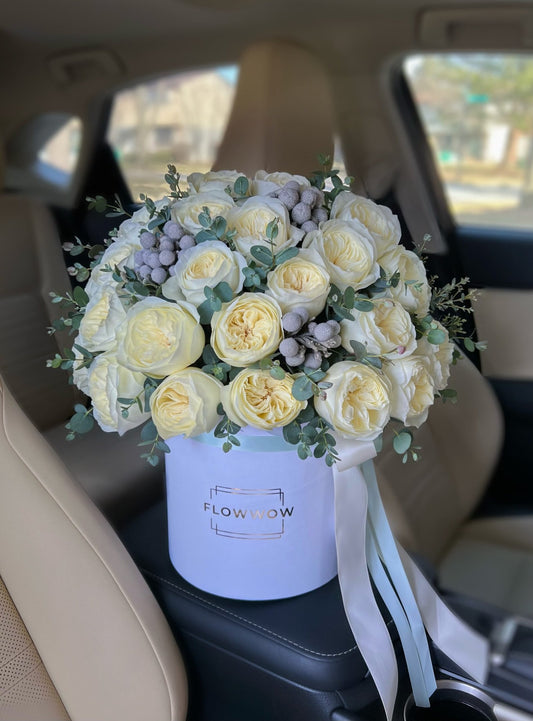 Signature Leonora Box image 0