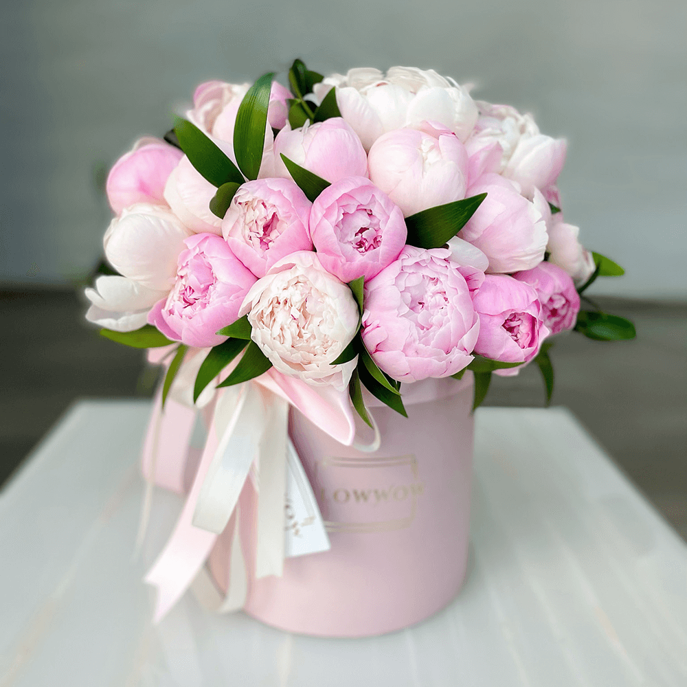 Peony Love Fl Small image 0