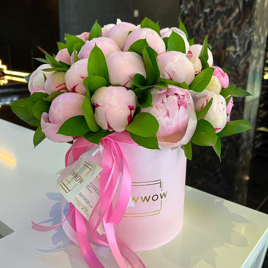 Box Of Peonies "Sarah Bernhard" image 0