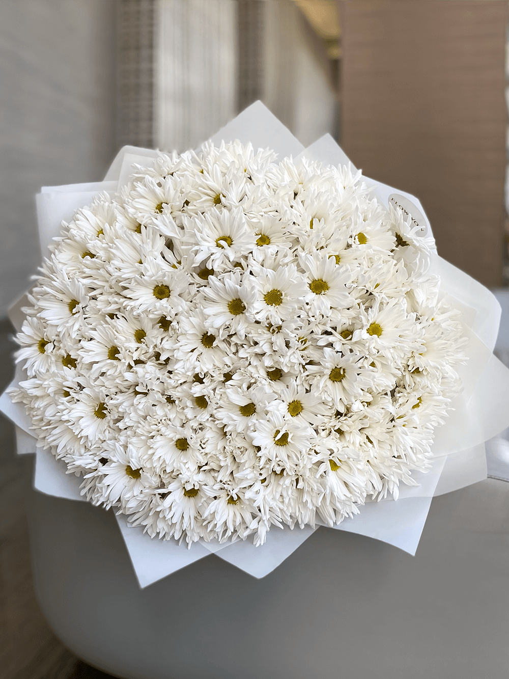 White Daisies Large image 0