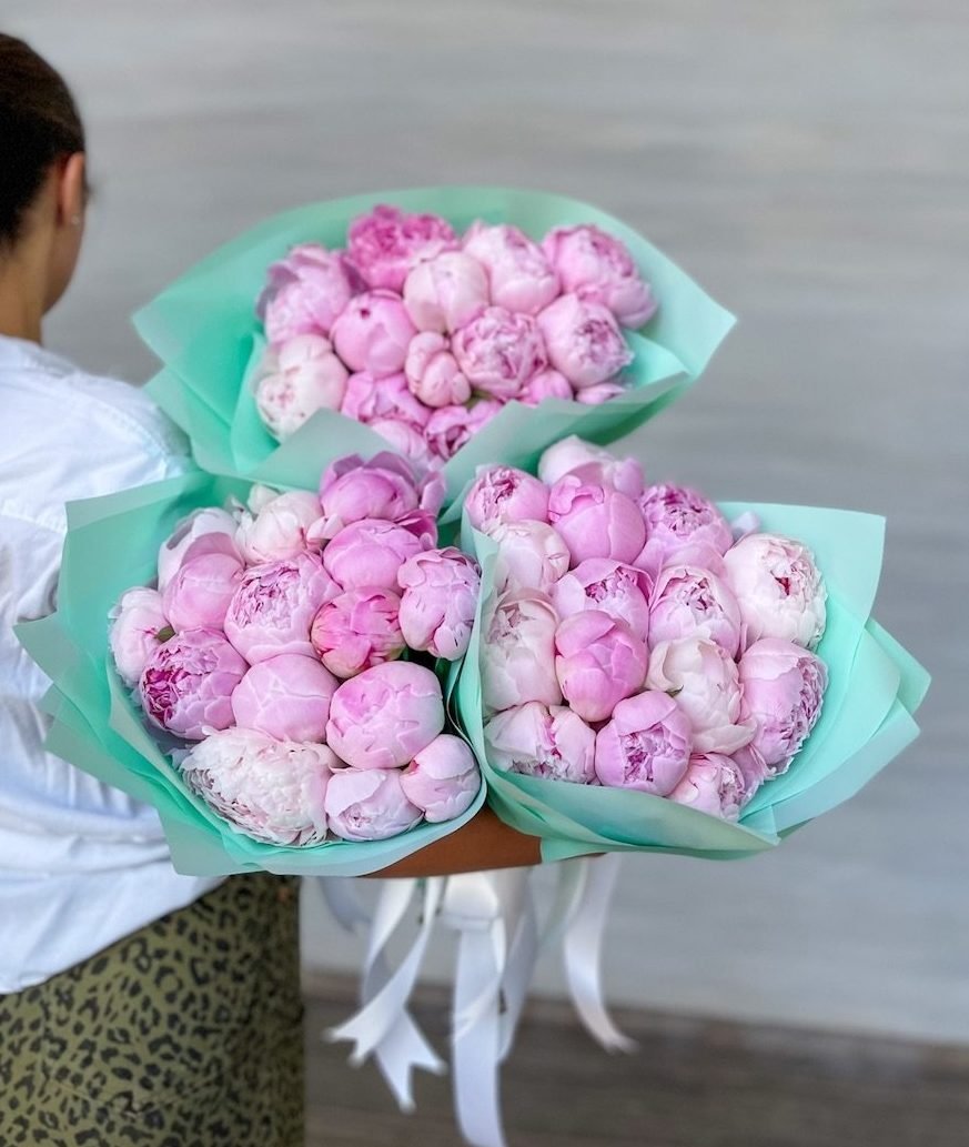 Pink Peonies Bundle image 0