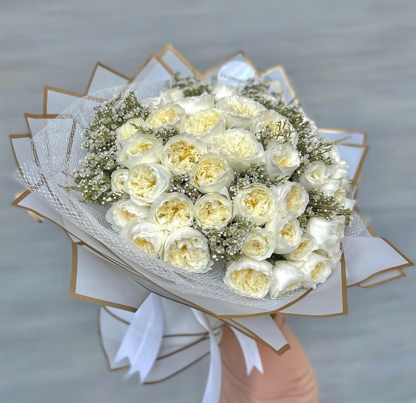 Garden Roses "White Patience"( Medium) image 0