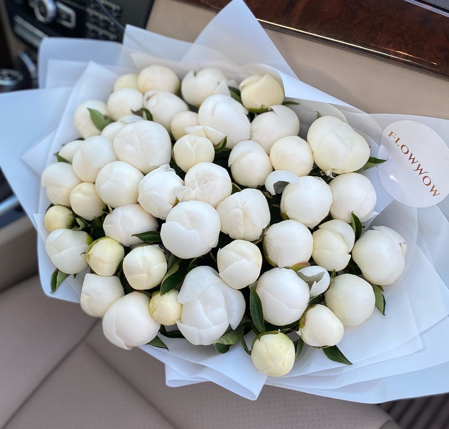 Pink Blush Peonies image 1