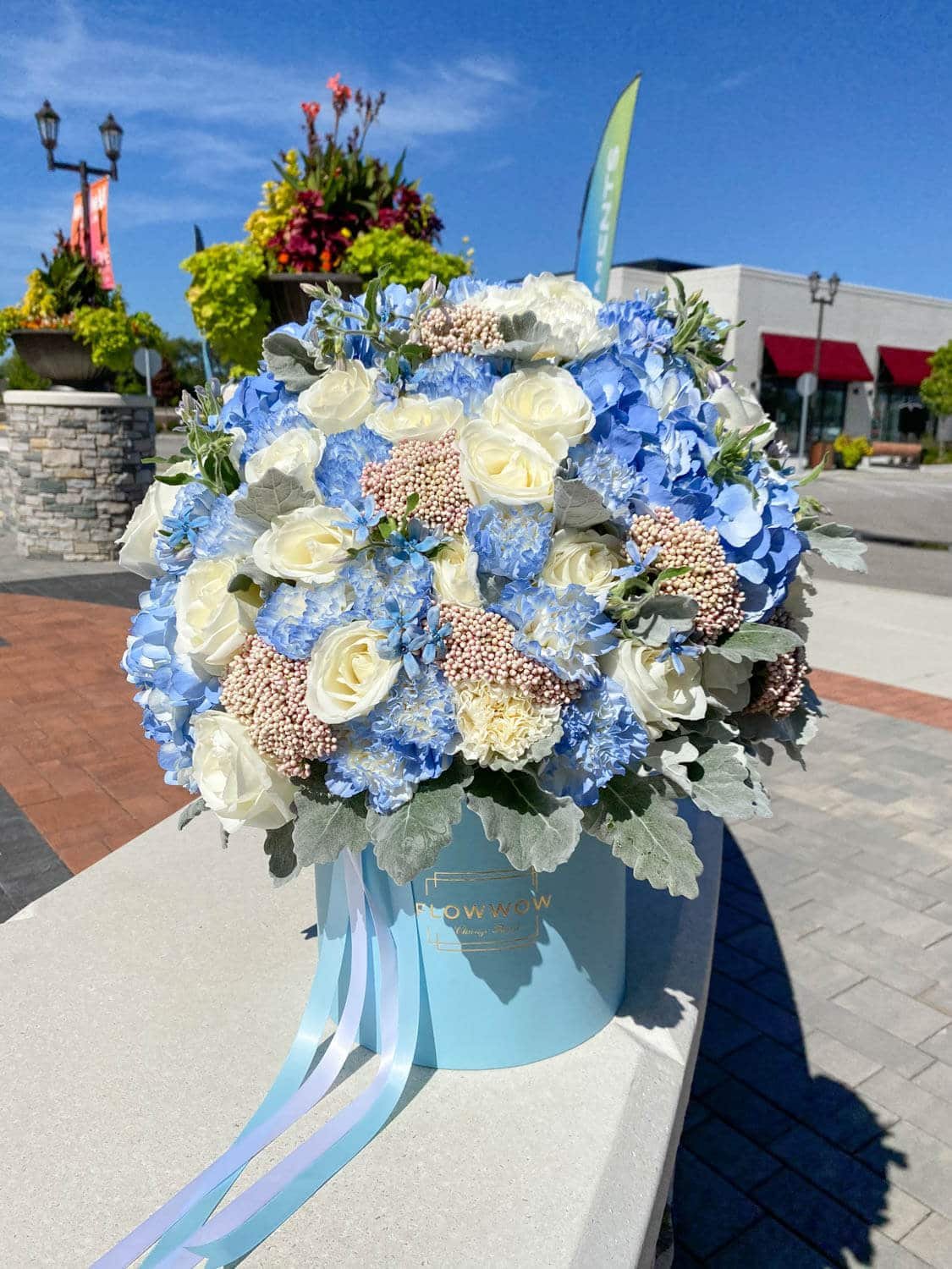 FlowWow Dream image 0