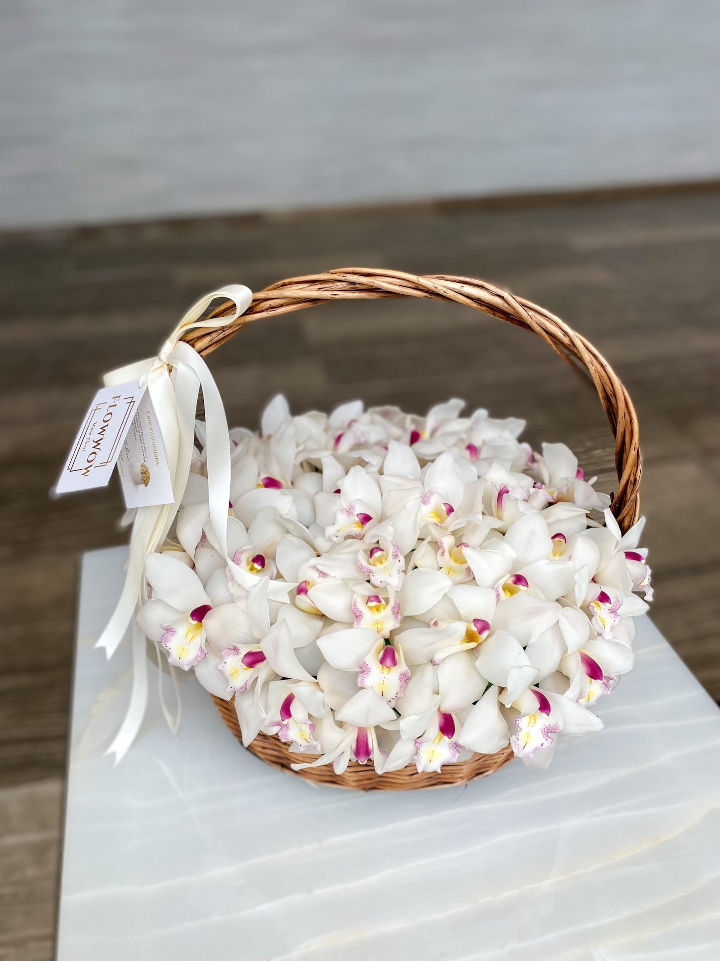 White Cymbidium Cloud image 1