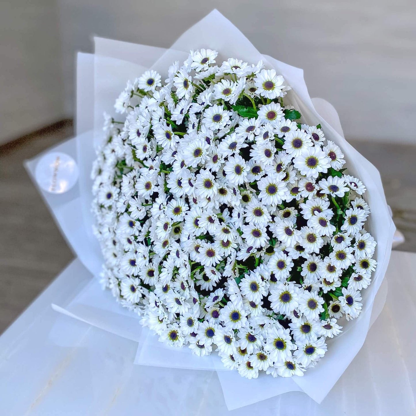 White Beauty Daisies image 0