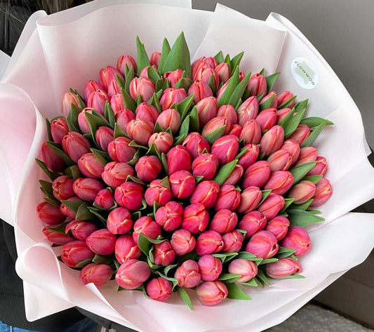 100 Pink Tulips image 0