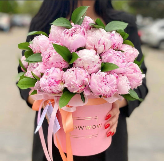 Box of Peonies "Sarah Bernhard" image 0