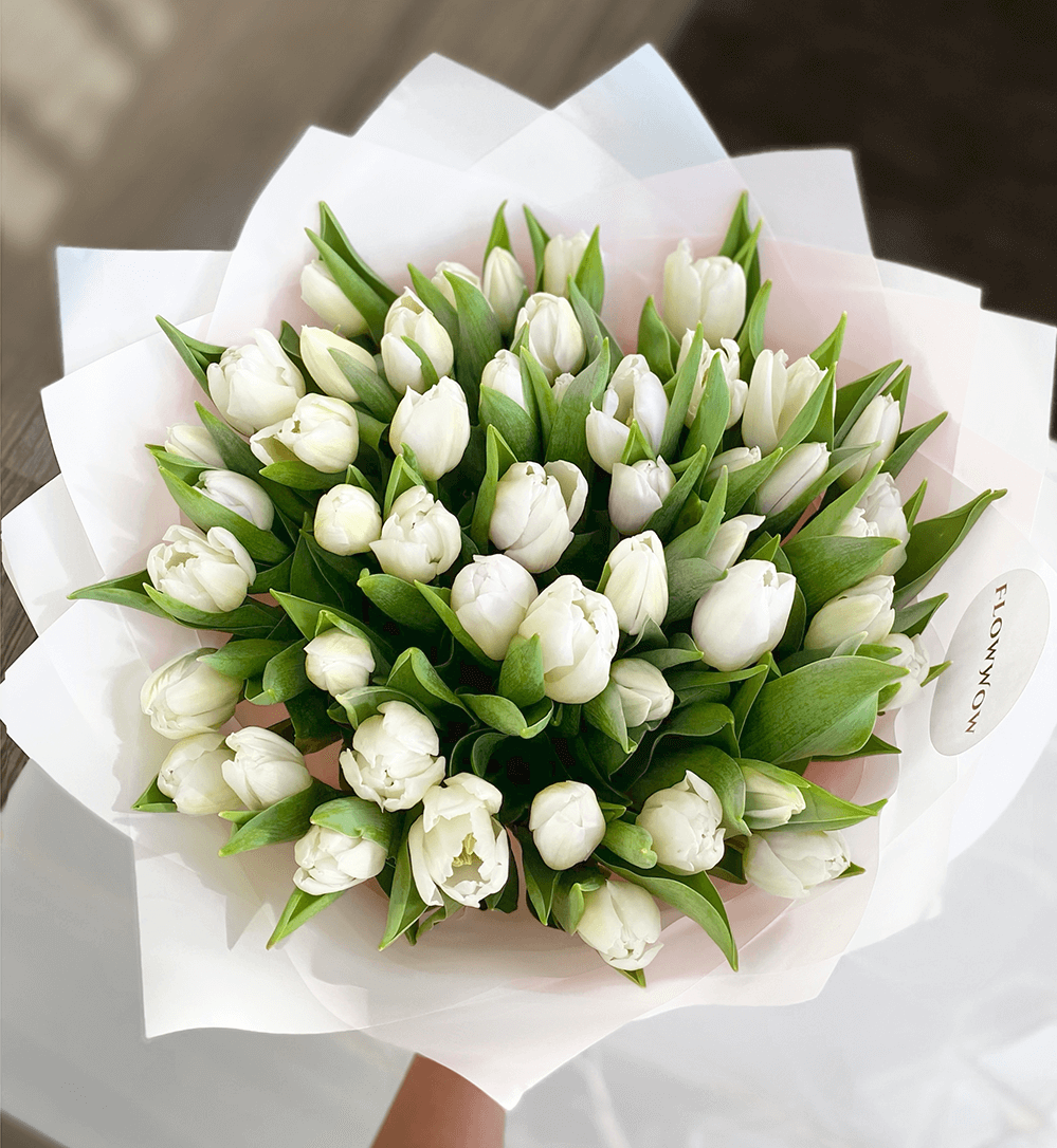50 White Tulips image 0