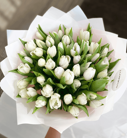 50 White Tulips image 0