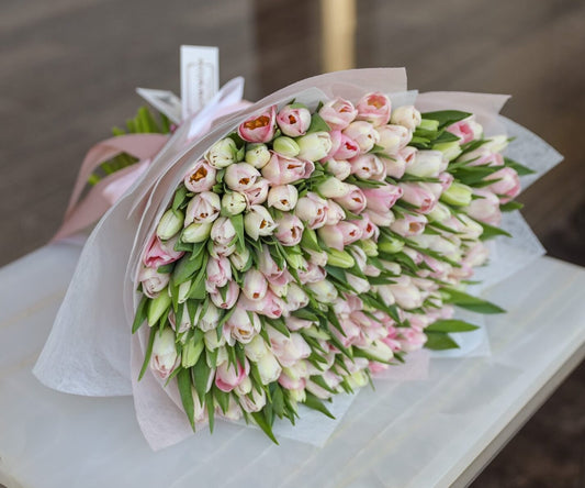 150 Light Pink Tulips image 0