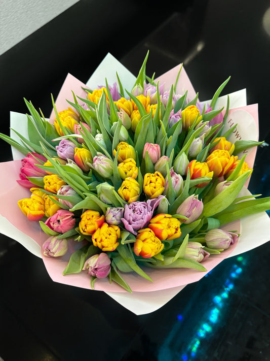 50 Mix Tulips image 1