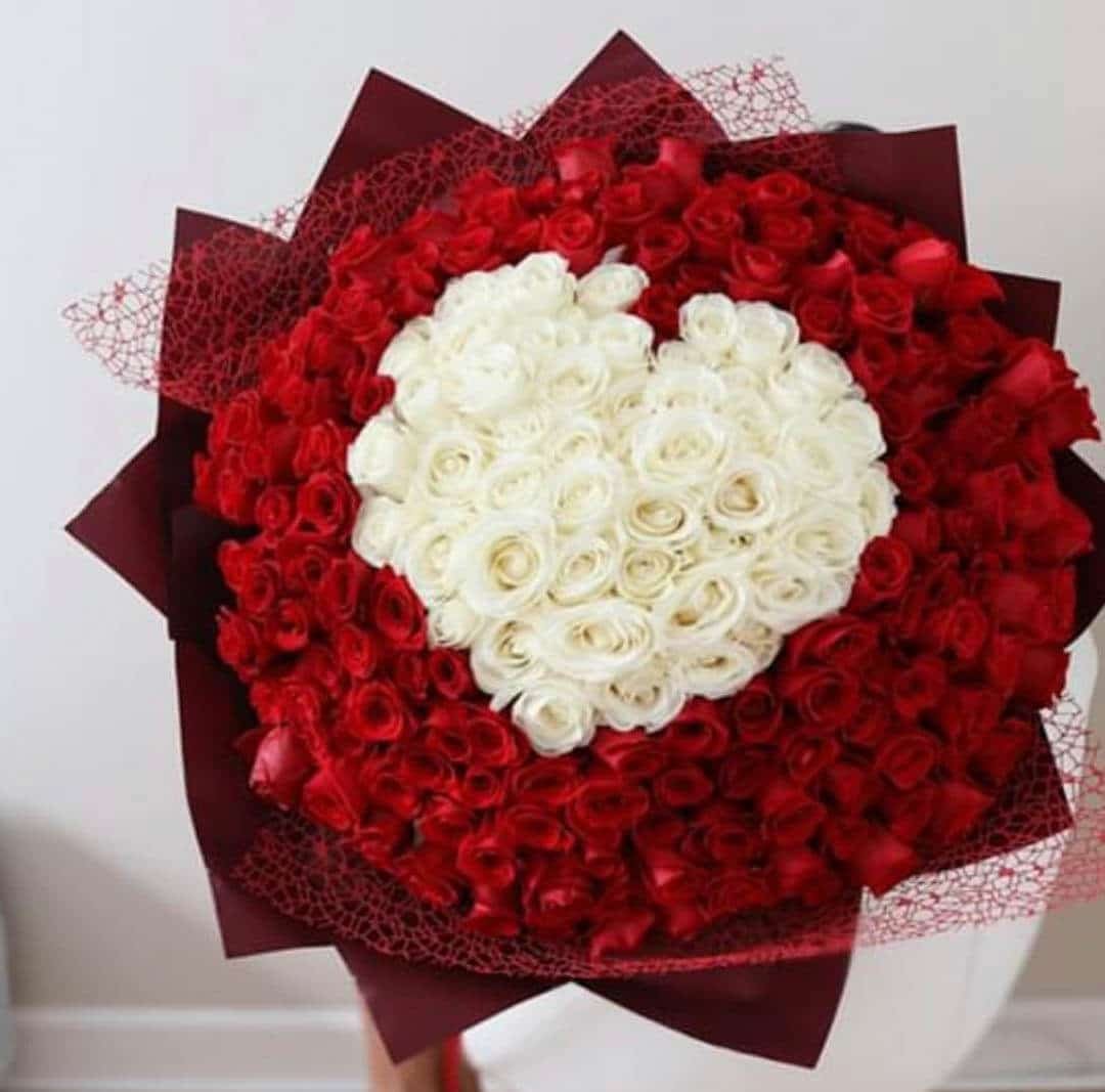 201 Premium Roses image 0