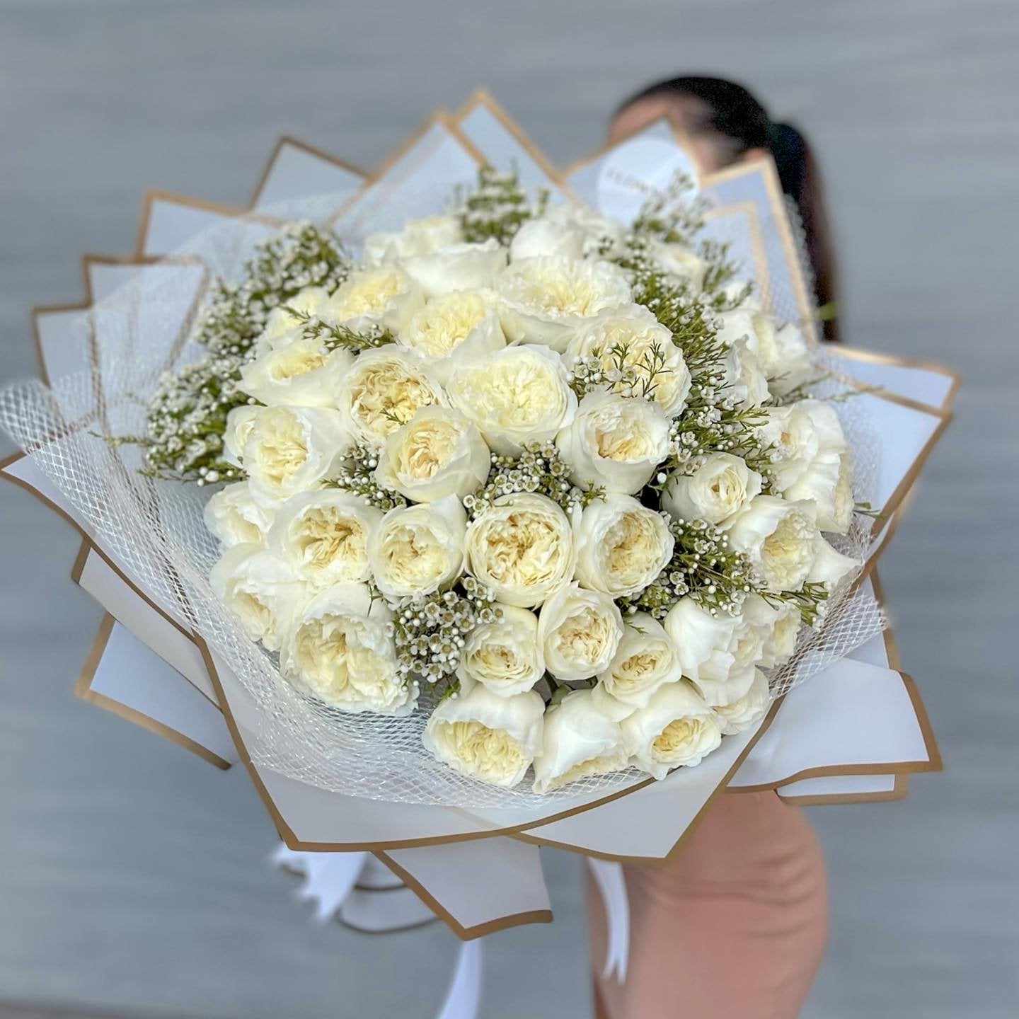 Garden Roses "White Patience"( Medium) image 2