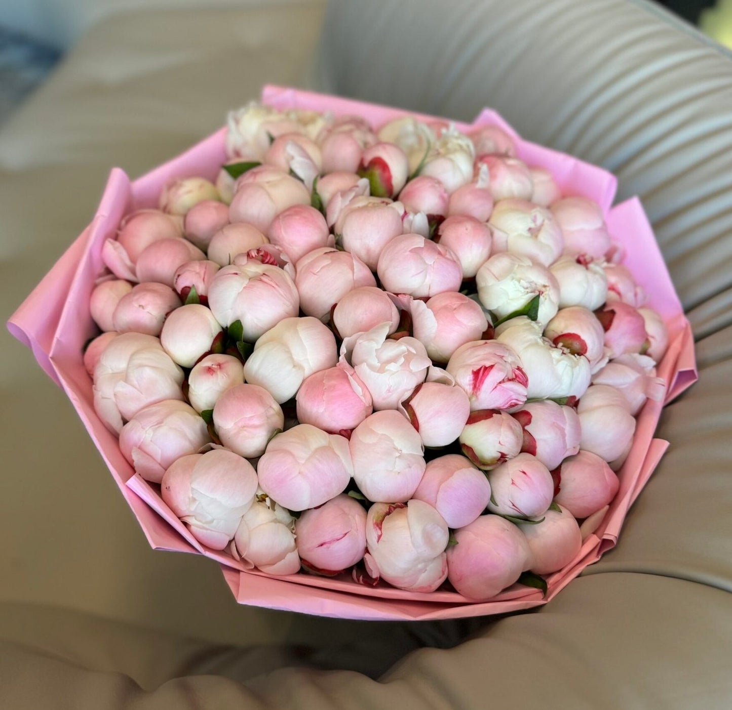 50 Blush Peonies image 0