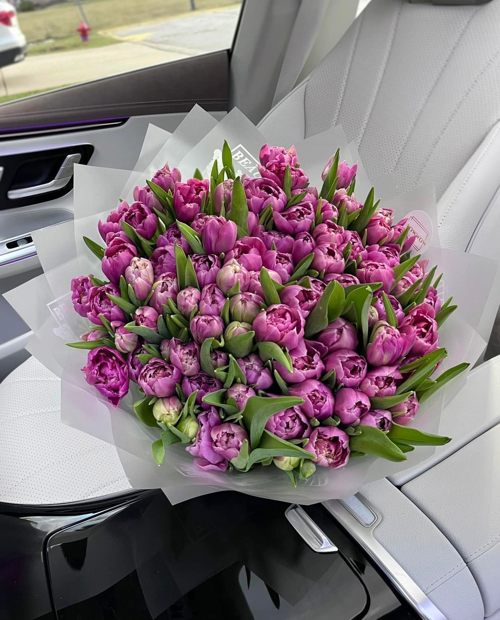 100 Purple Tulips image 0