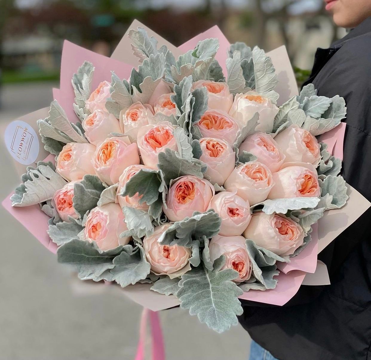 Garden Roses "Juliet" image 0