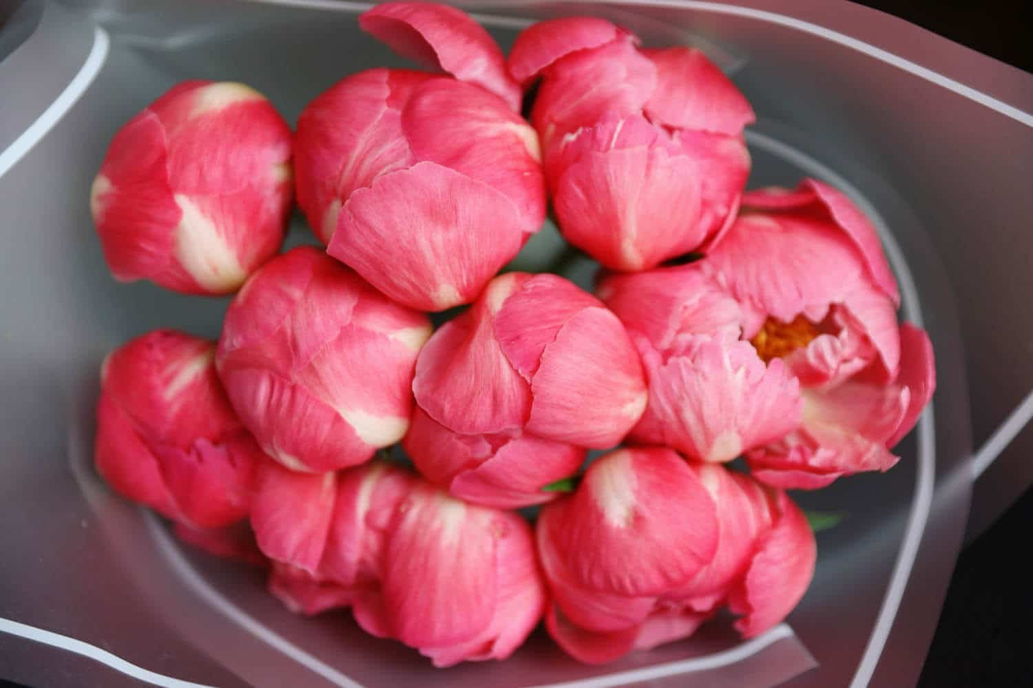 Simply Pretty image 2